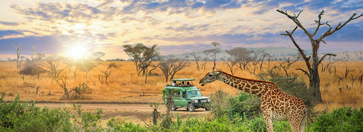 Serengeti National Park Guide